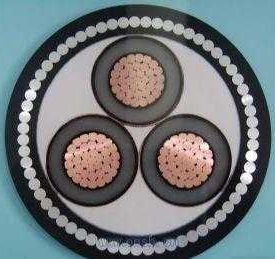 1530886616230521.jpg timg.jpg