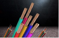 1598423669938092.jpg adv004.jpg